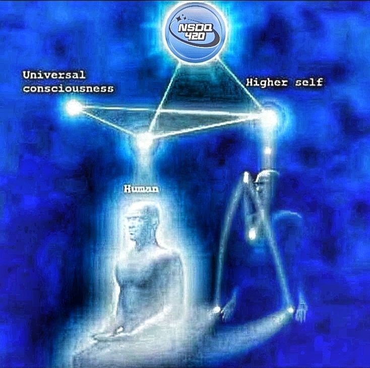 Cash🛜🪽 tweet media