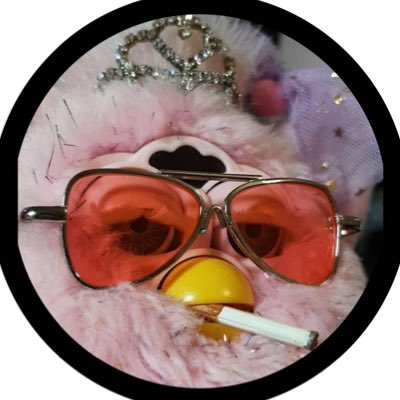 Virginia finkle 2.0 tweet media