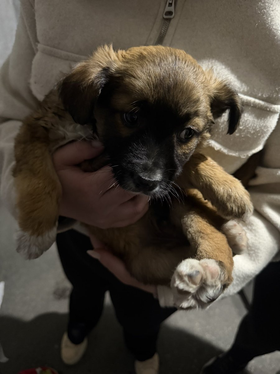 erica ໑̣🇵🇸🎞️ tweet media