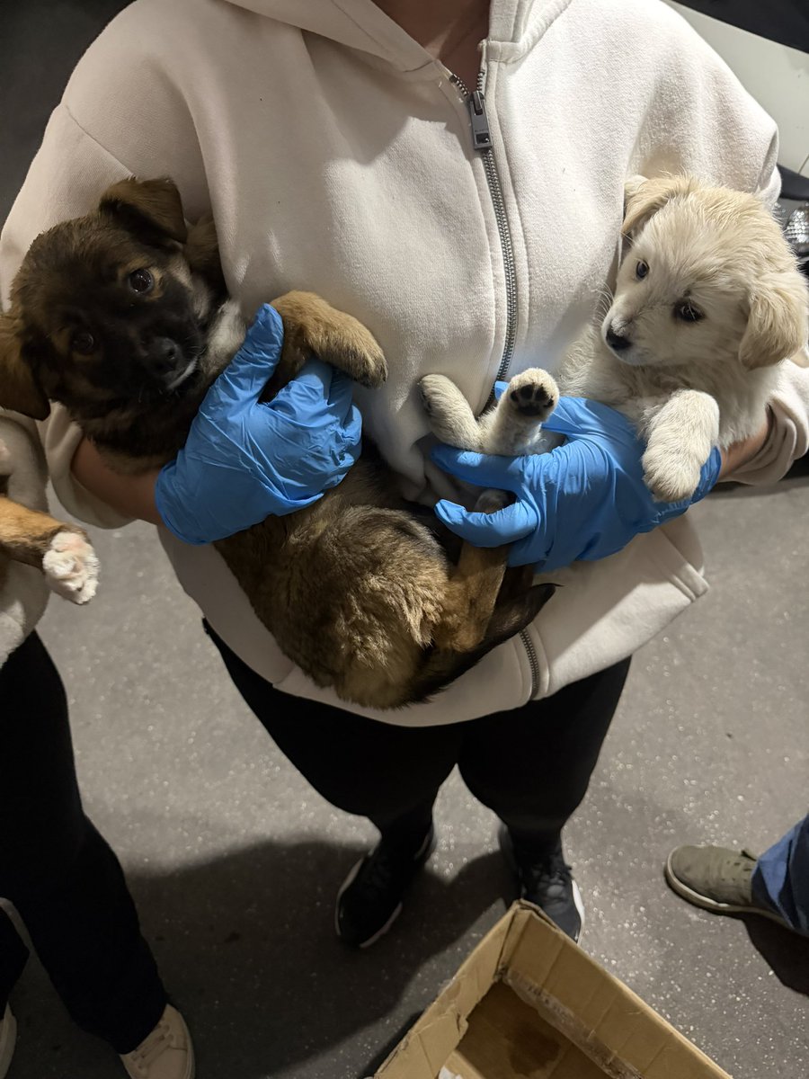 erica ໑̣🇵🇸🎞️ tweet media