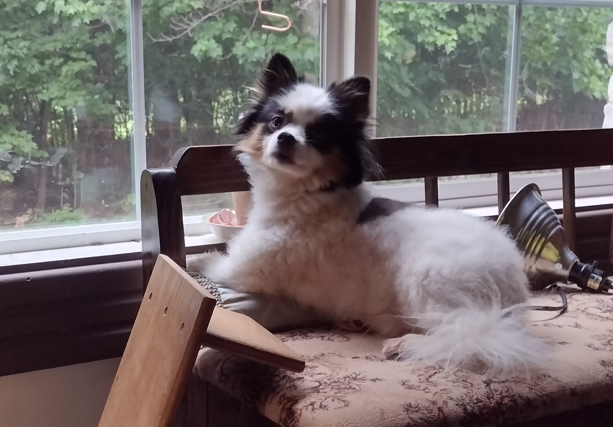 Malissa Canton tweet media