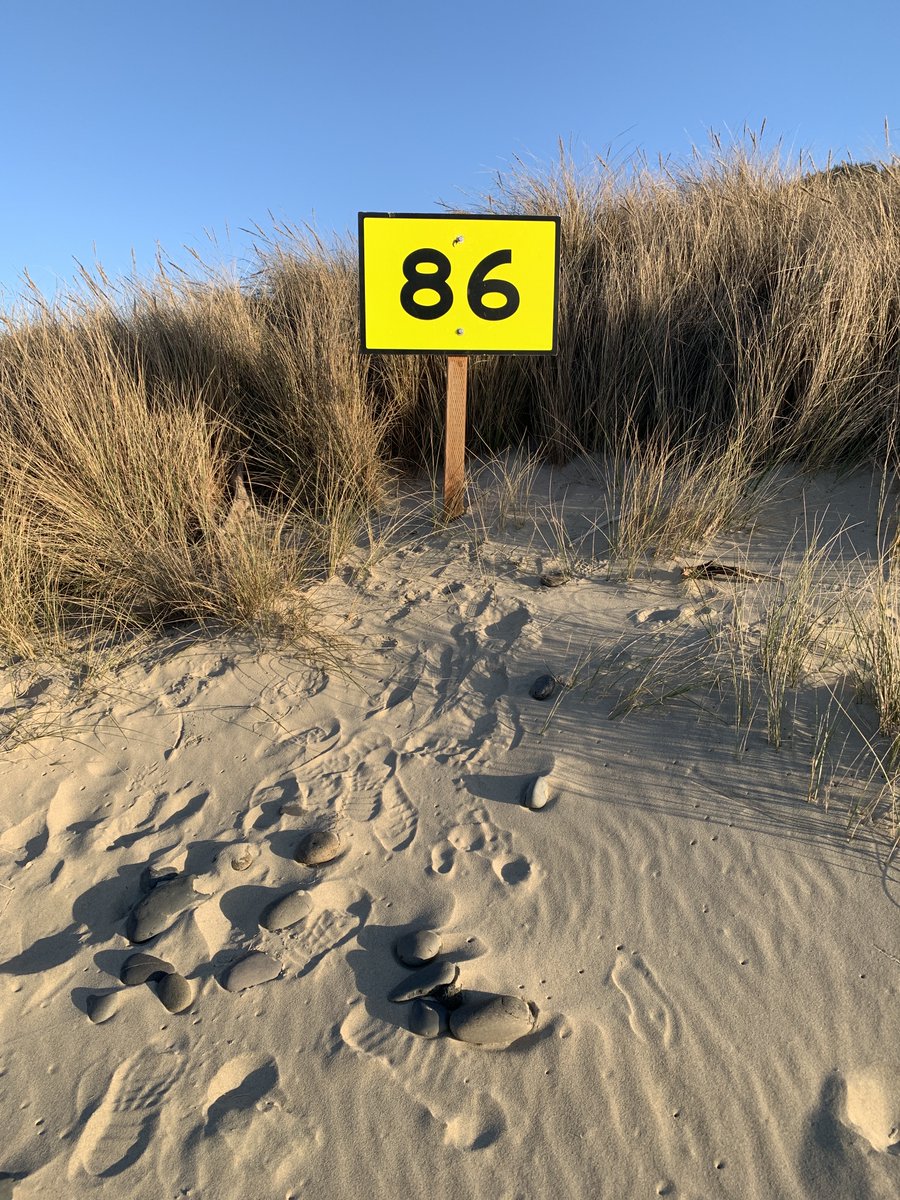 Martin Truther ☮ 🌍❤️ tweet media