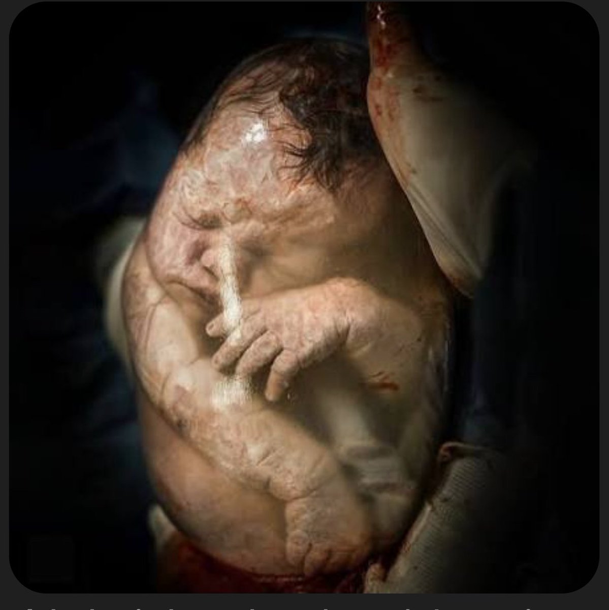 Stan Voice of Wales tweet media