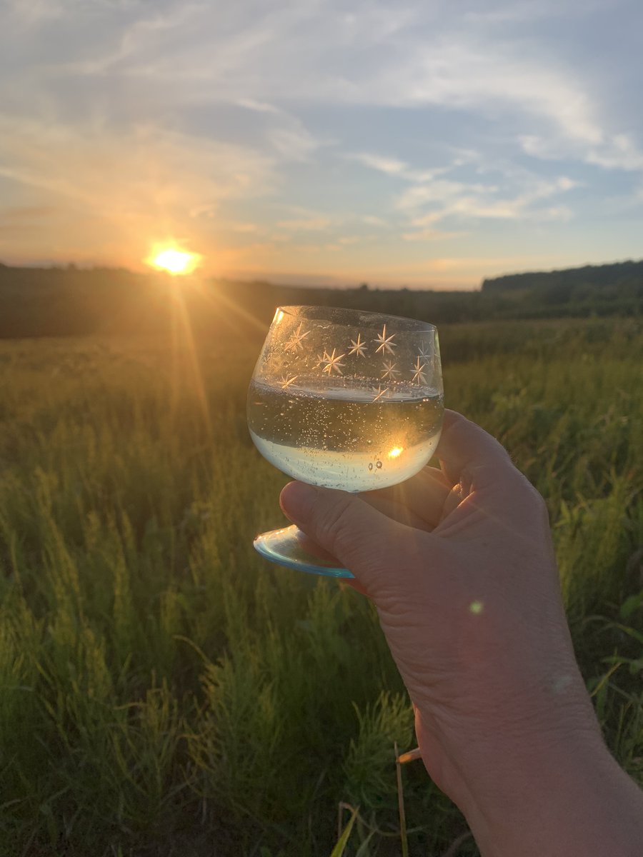 maribobryck tweet media