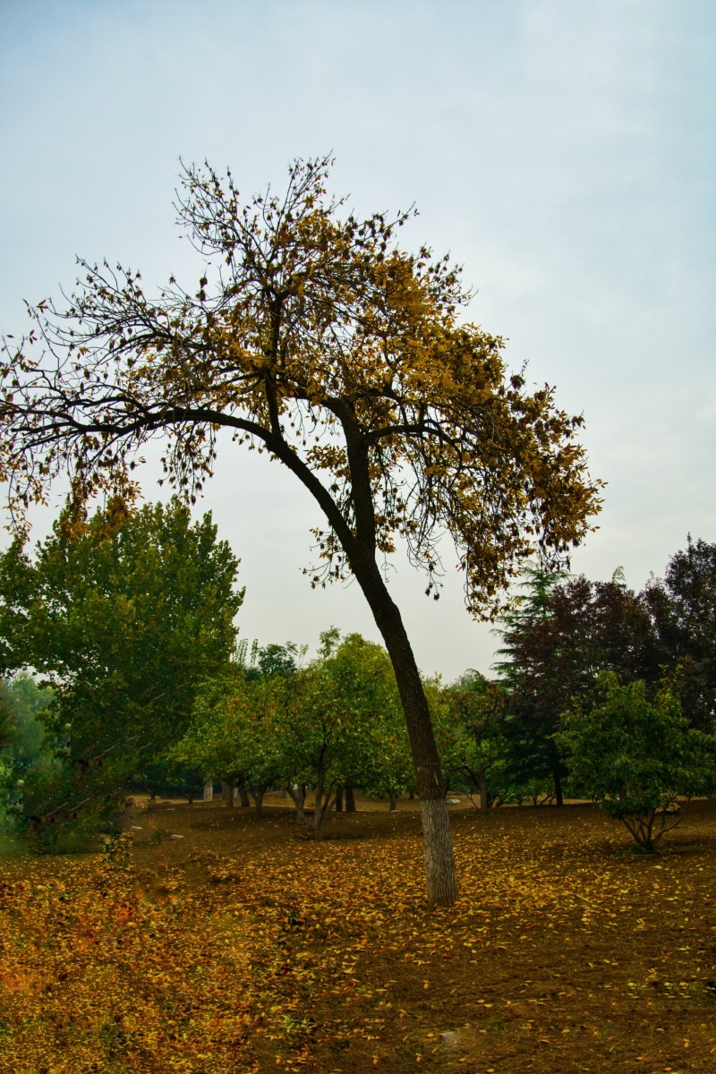 Brad Bonville tweet media