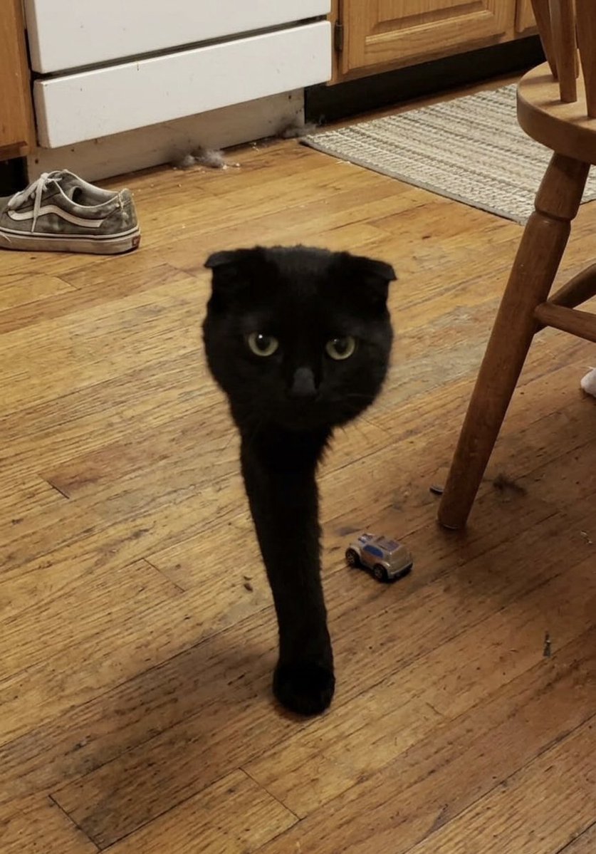 〜 Camila/ミチ 〜 tweet media