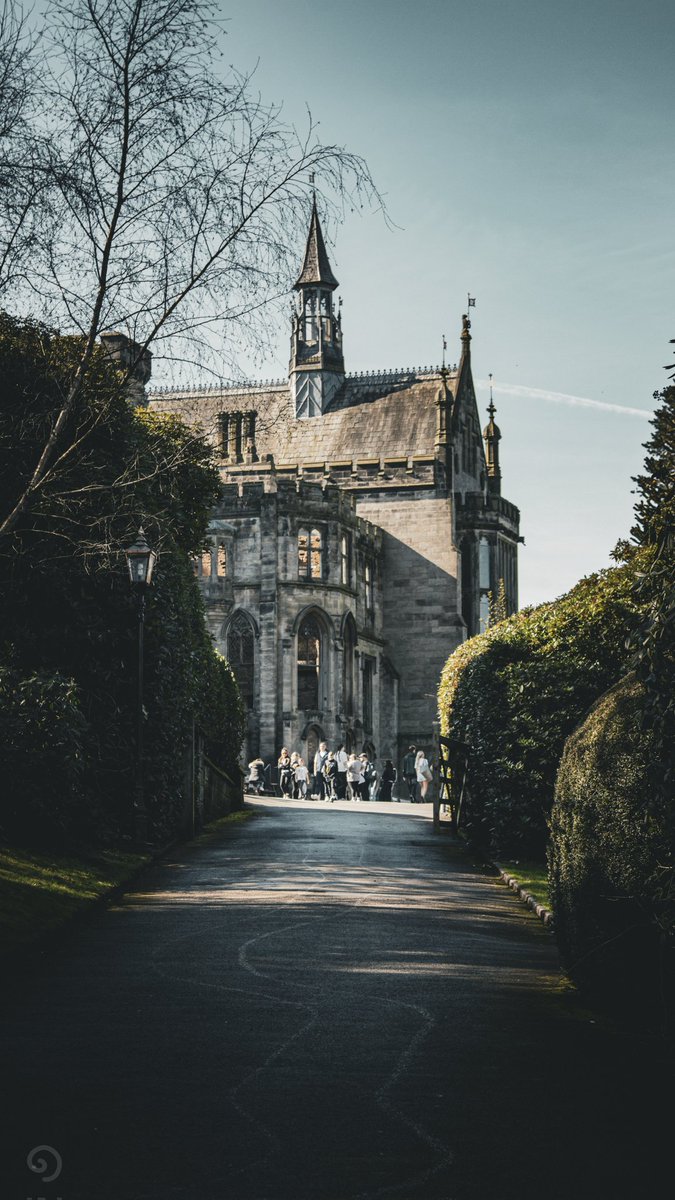 «CoasterIzzy» tweet media