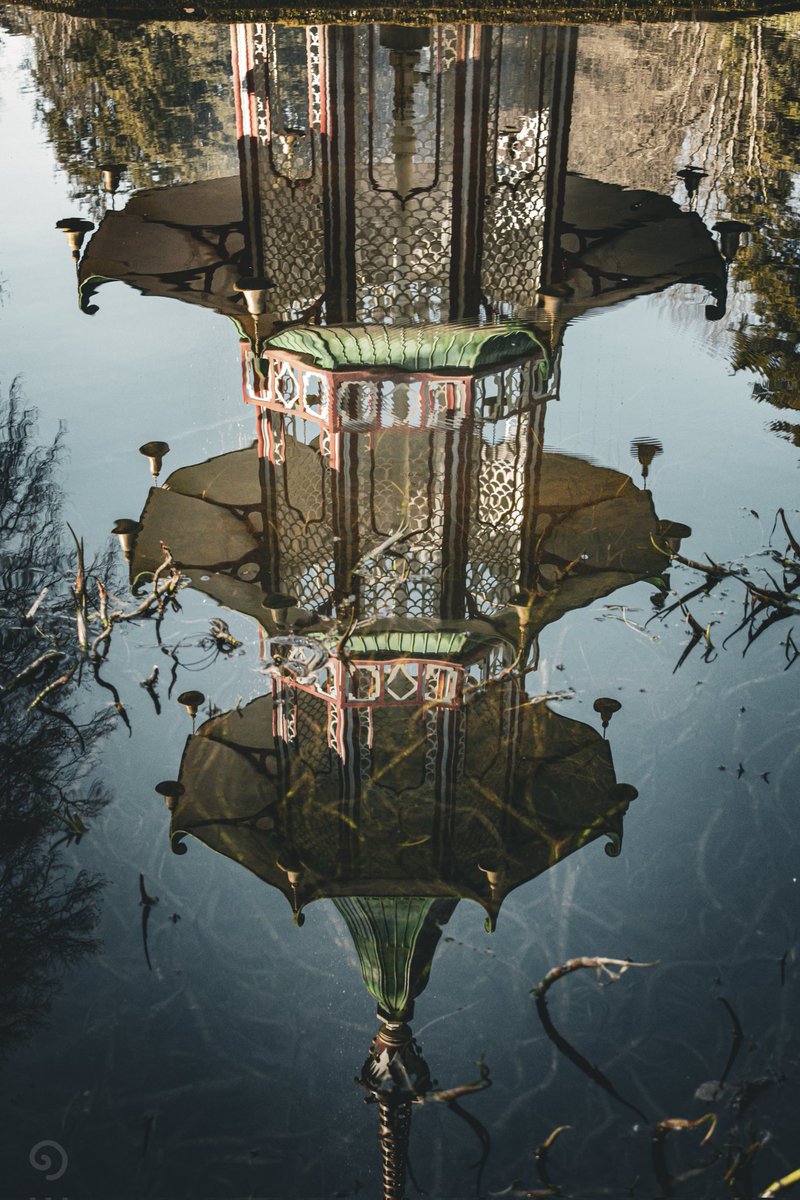 «CoasterIzzy» tweet media