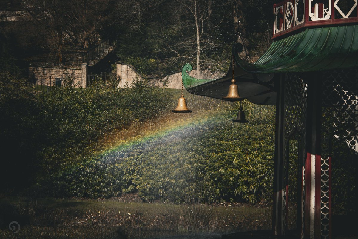 «CoasterIzzy» tweet media