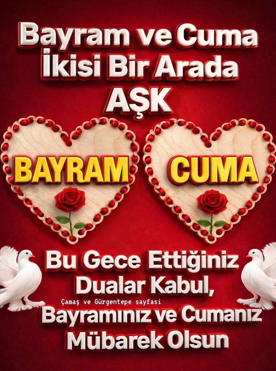 güle meftun tweet media