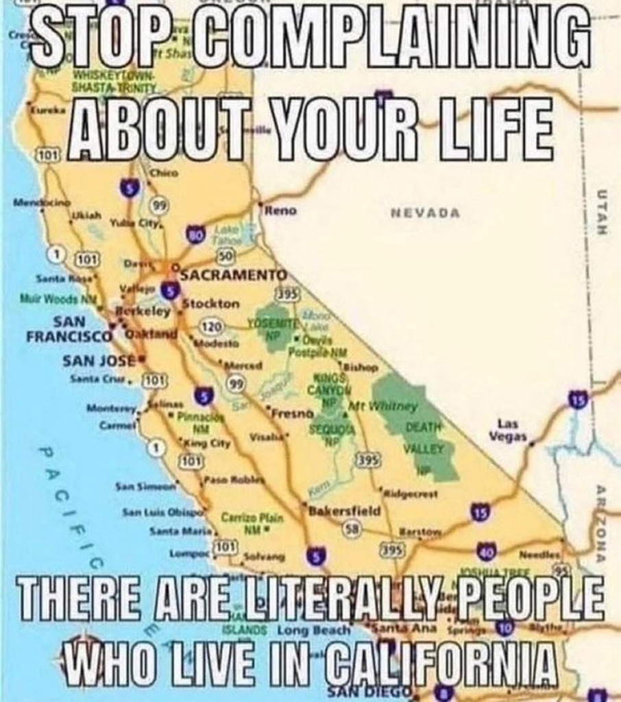 Matt Couch tweet media