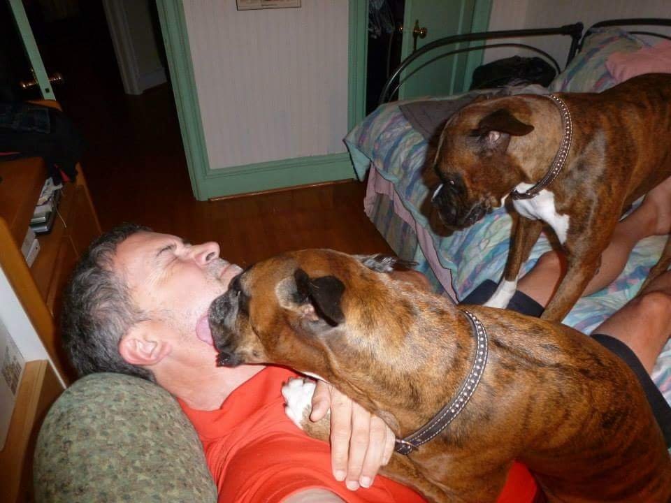 Dave 🇨🇦🇺🇦🌻 tweet media