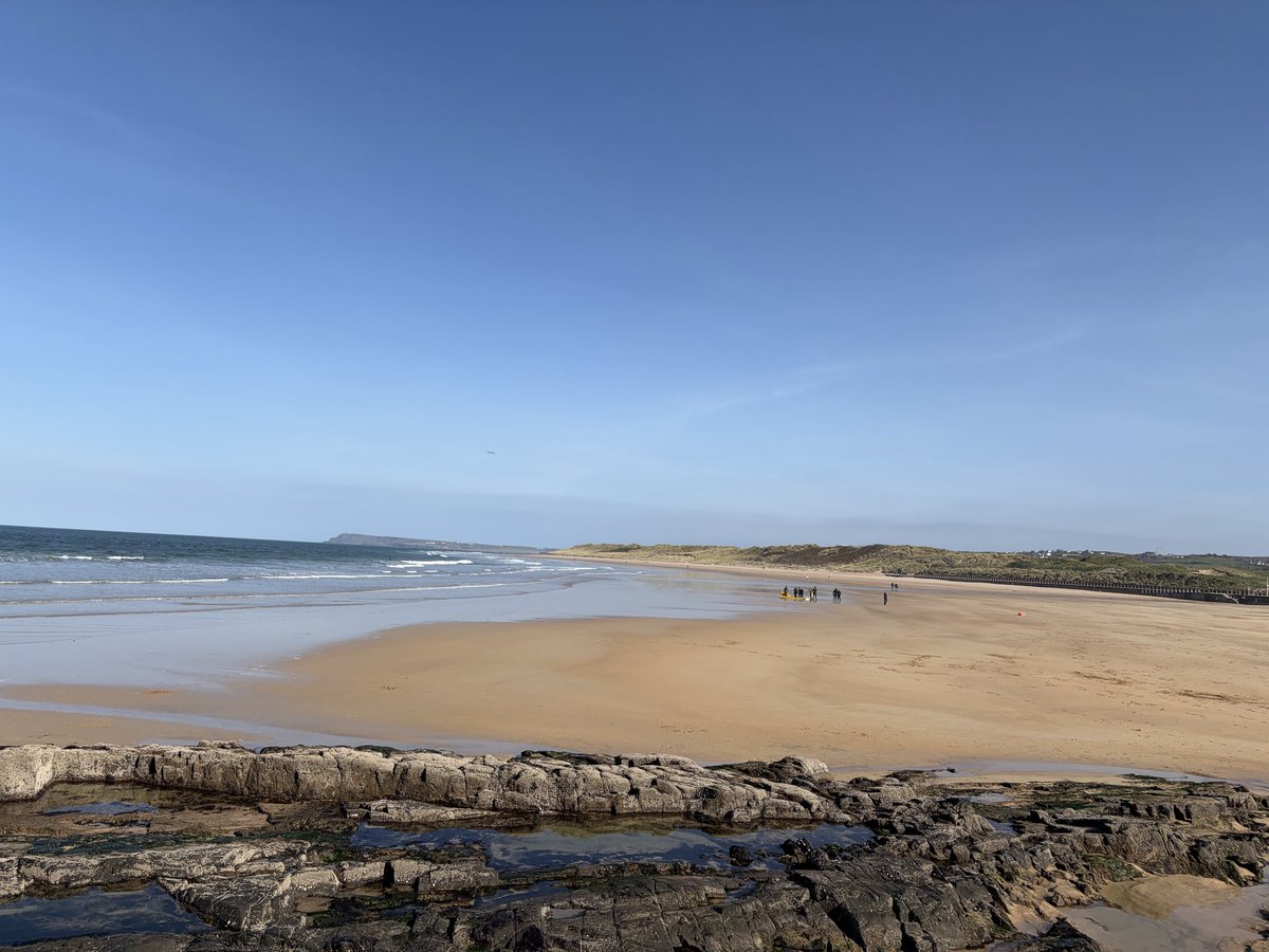 Tweeter of Wit tweet media