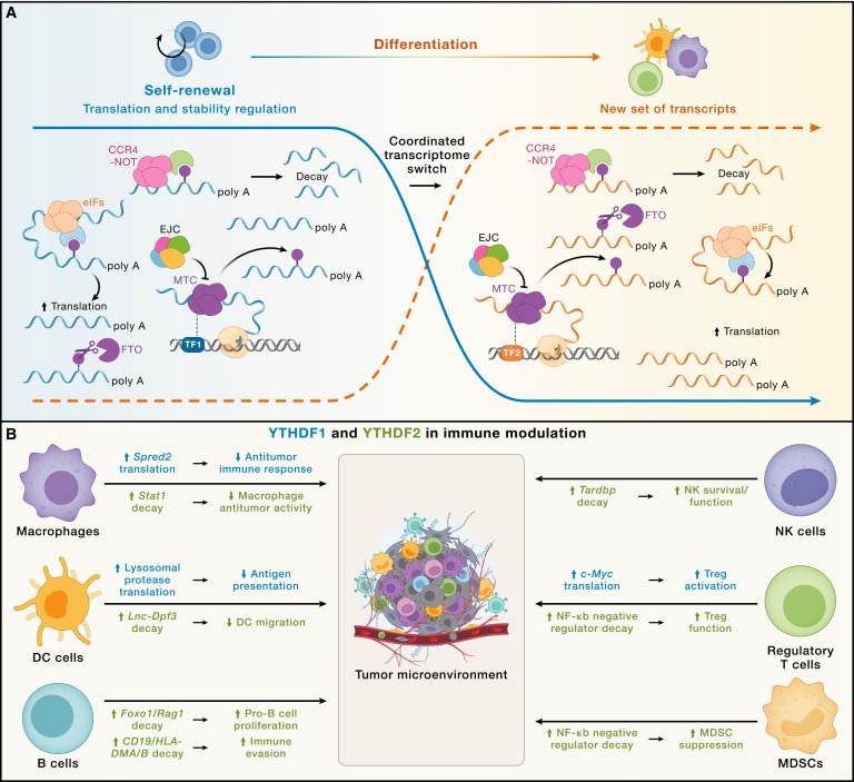 Waggoner Lab tweet media