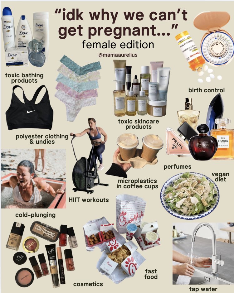 Carnivore Aurelius ©🥩 ☀️🦙 tweet media