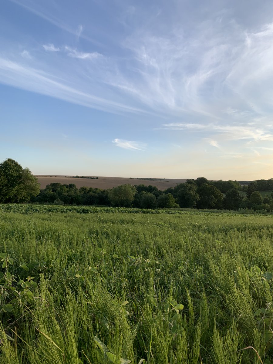 maribobryck tweet media