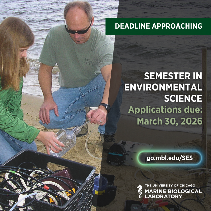 Marine Biological Laboratory (MBL) tweet media