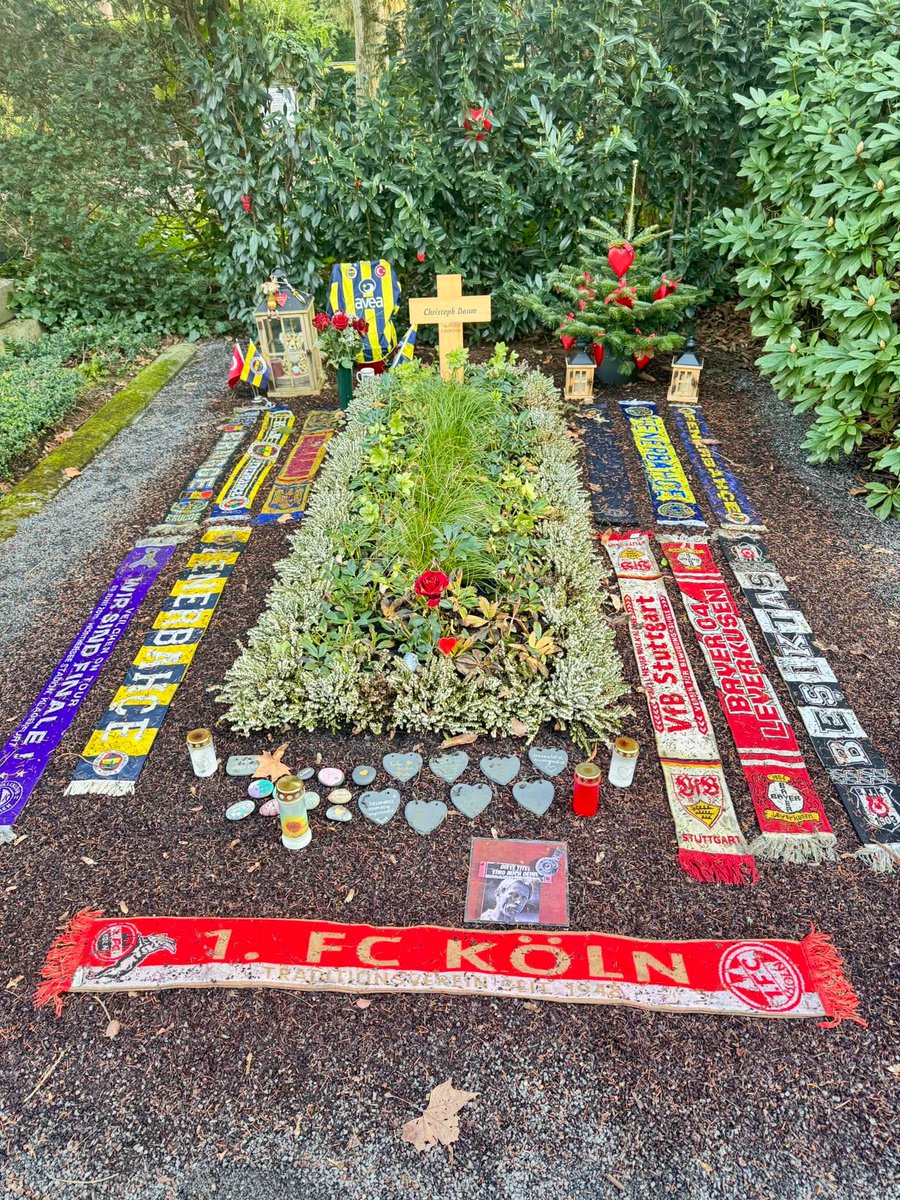 Kanarya Sports tweet media