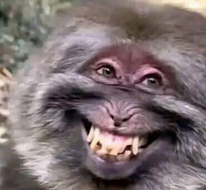 OverLord. tweet media