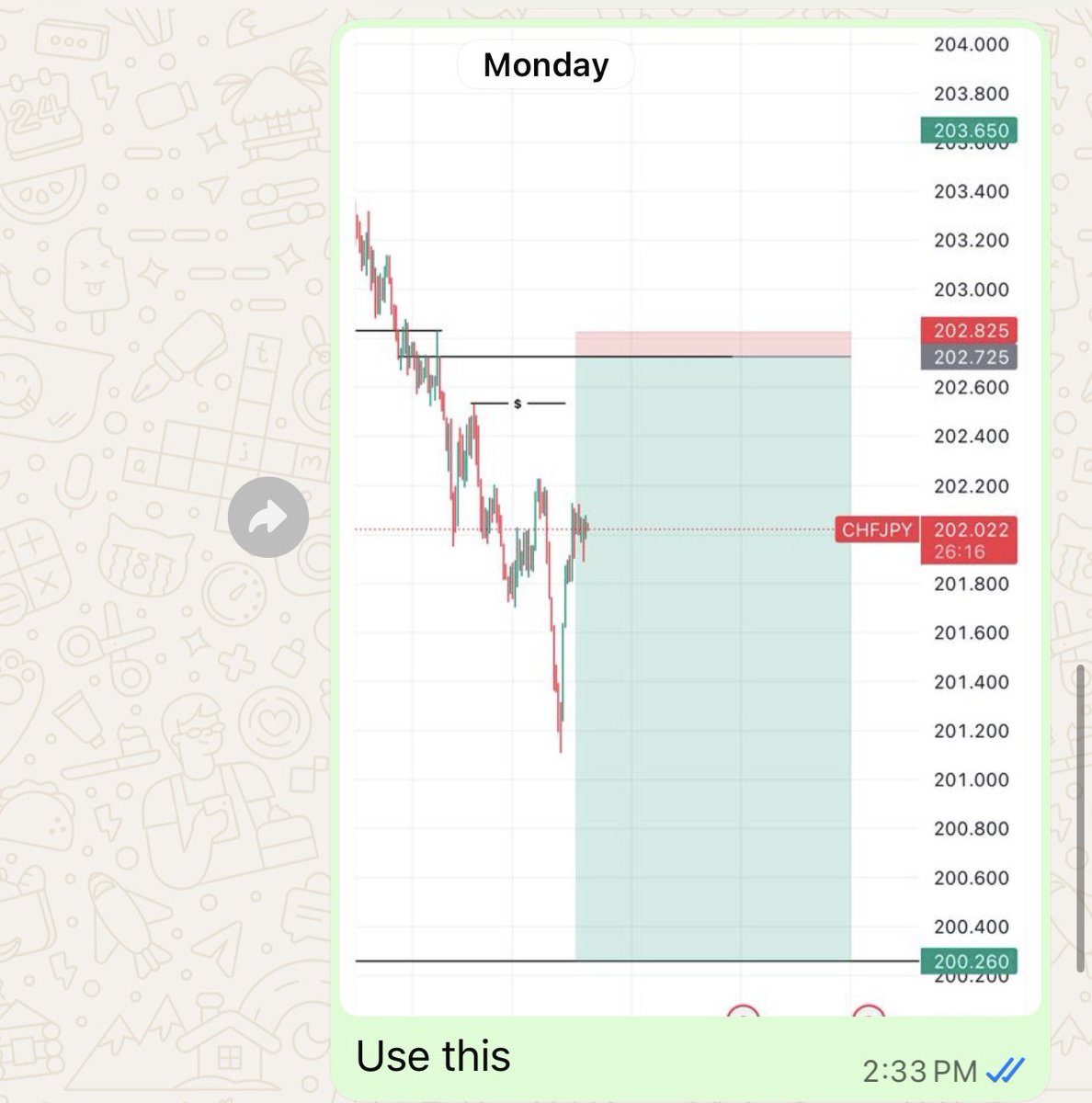 MAYAKIfx tweet media