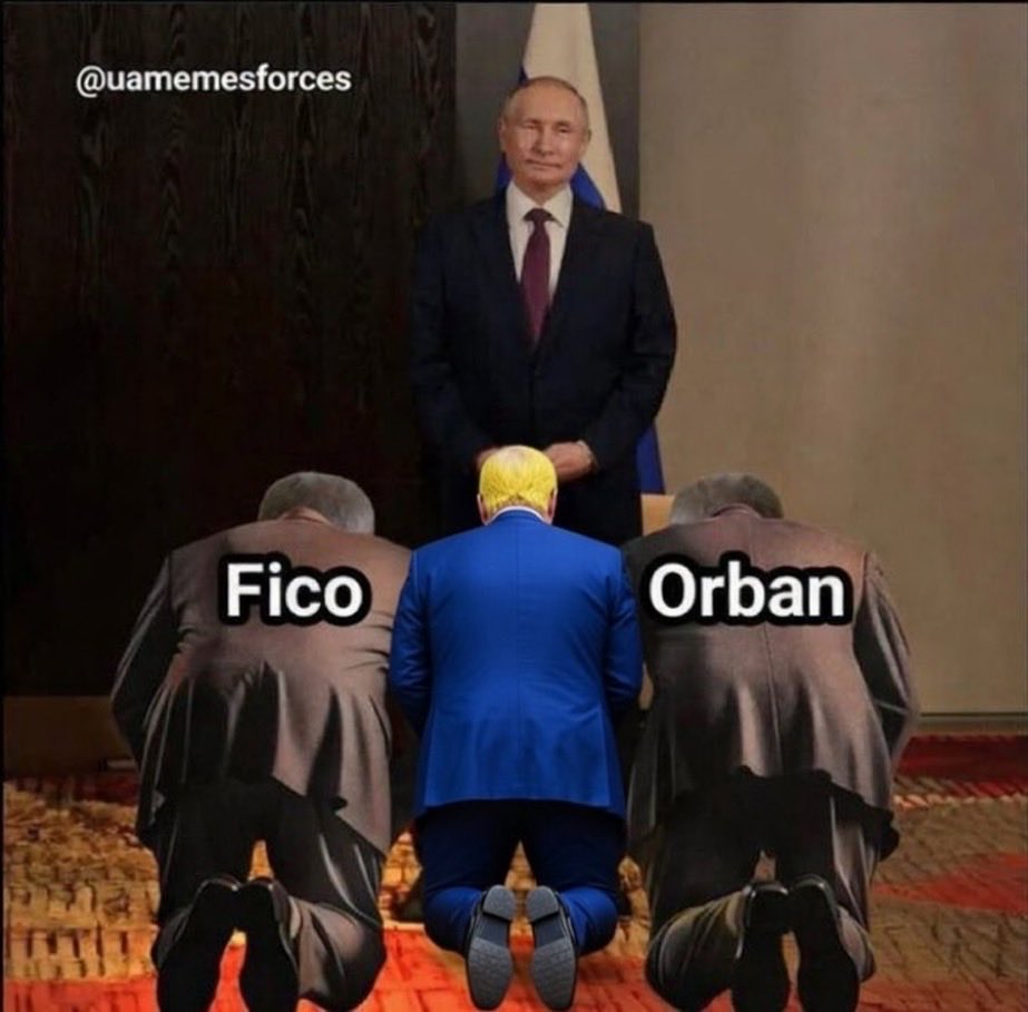 Wojciech tweet media