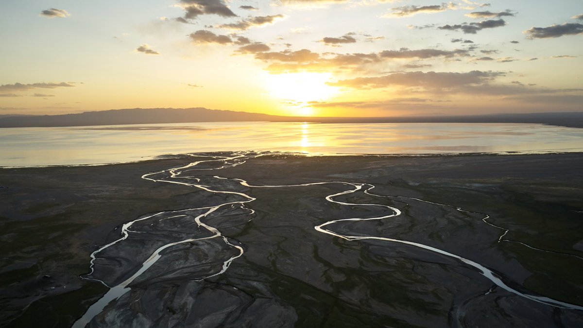 Chris Andrew tweet media