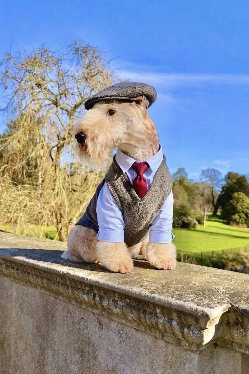 Bertie Lakeland tweet media