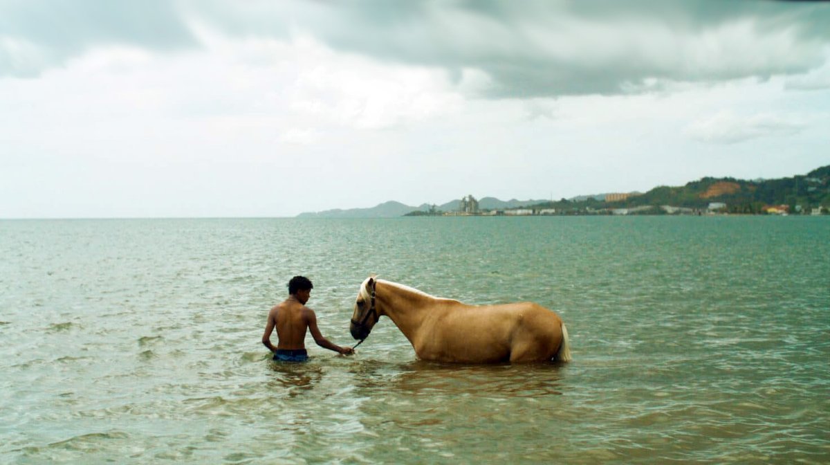 NOTICINE.com tweet media