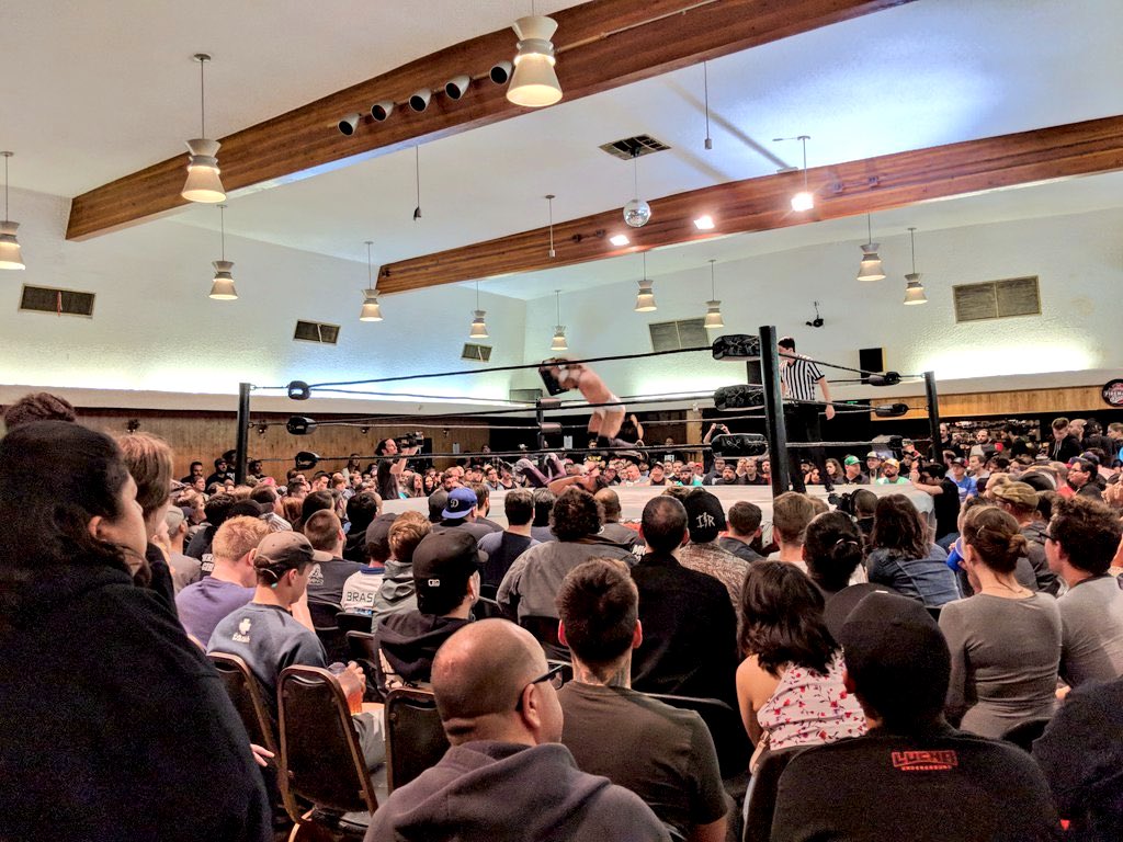 Ushi 牛殺し🐂 tweet media