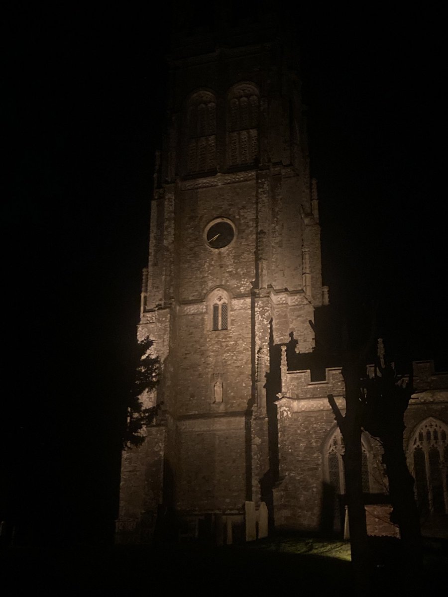 Blue 🦋 Butterfly tweet media