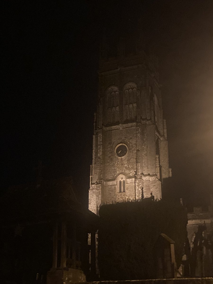 Blue 🦋 Butterfly tweet media