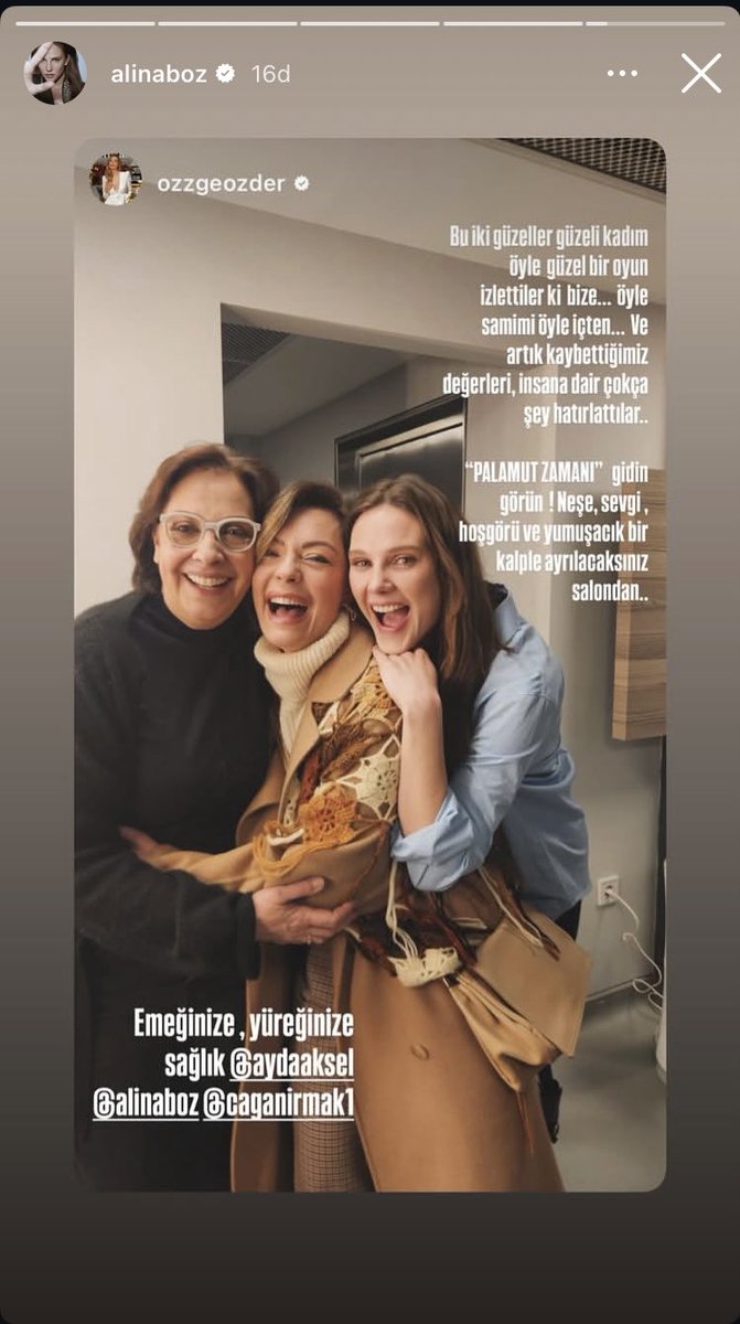 All About Alina Boz tweet media