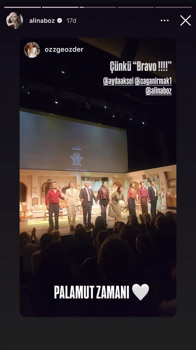 All About Alina Boz tweet media