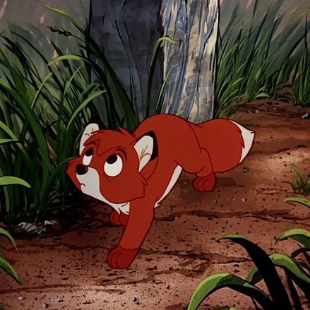 BasicFoxFurry tweet media