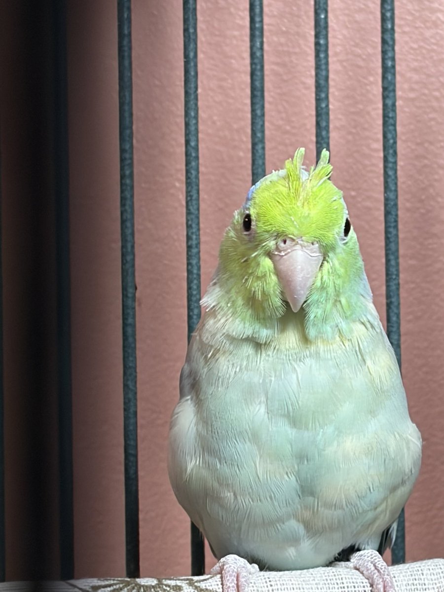 All Ages of Geek⚔️🎲 tweet media