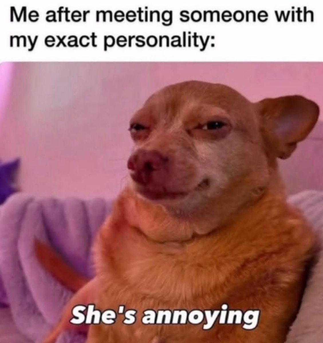 Playboi Carti tweet media