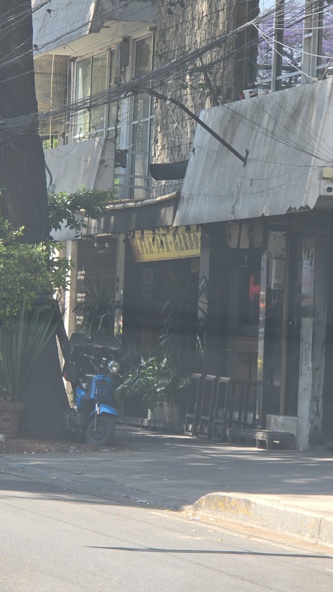 david bernal tweet media