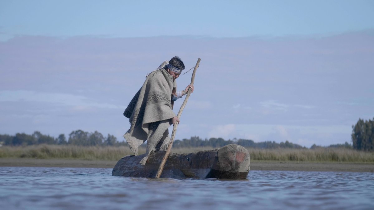 Observatorio Ciudadano tweet media