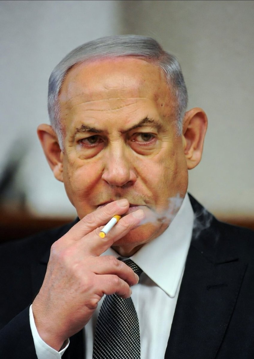 Fun Viral tweet media