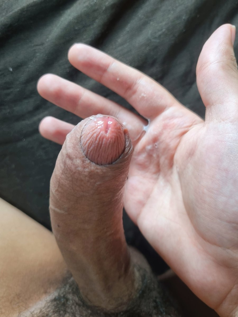 Sarah Raposinha 🦊🏳️‍⚧️🩷 tweet media