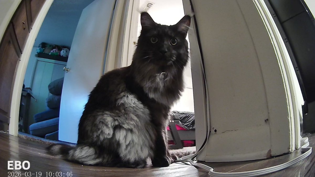 Miss Atomic tweet media