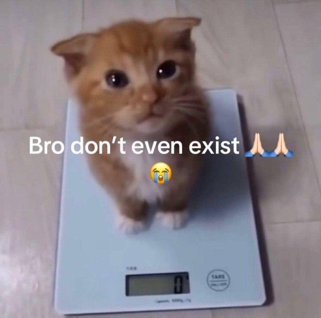 Meme Central tweet media