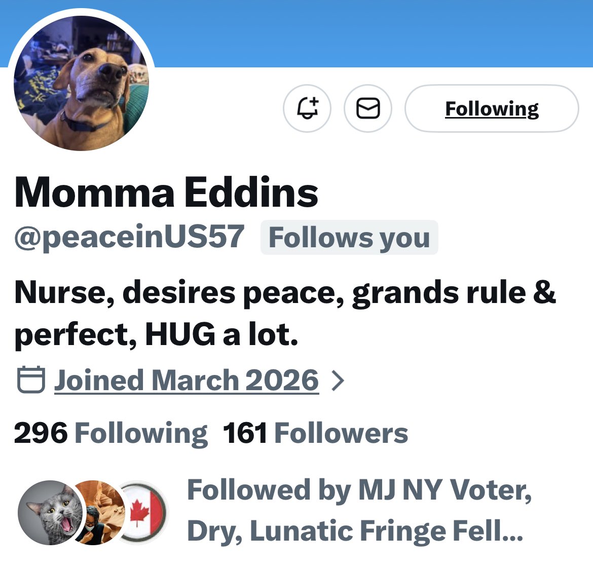 Turquoise Cat tweet media