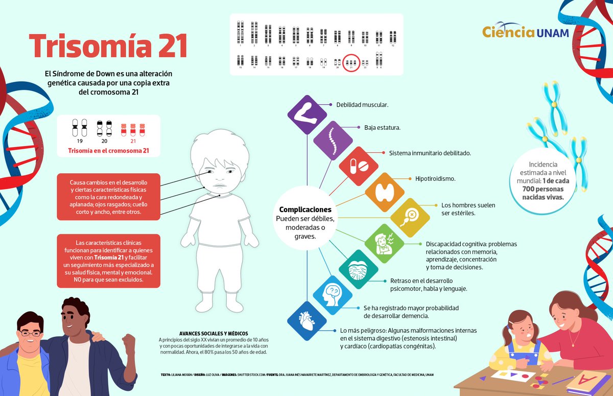 Ciencia_UNAM's tweet image. #Salud | 1 de cada 700 personas en el mundo vive con #trisomia21, #Down
Existen opciones que ayudan a mejorar la calidad de vida de estas personas, tales como la estimulación temprana y terapia física; odontología; optometría; medicina preventiva. + Info: bit.ly/405OxUx