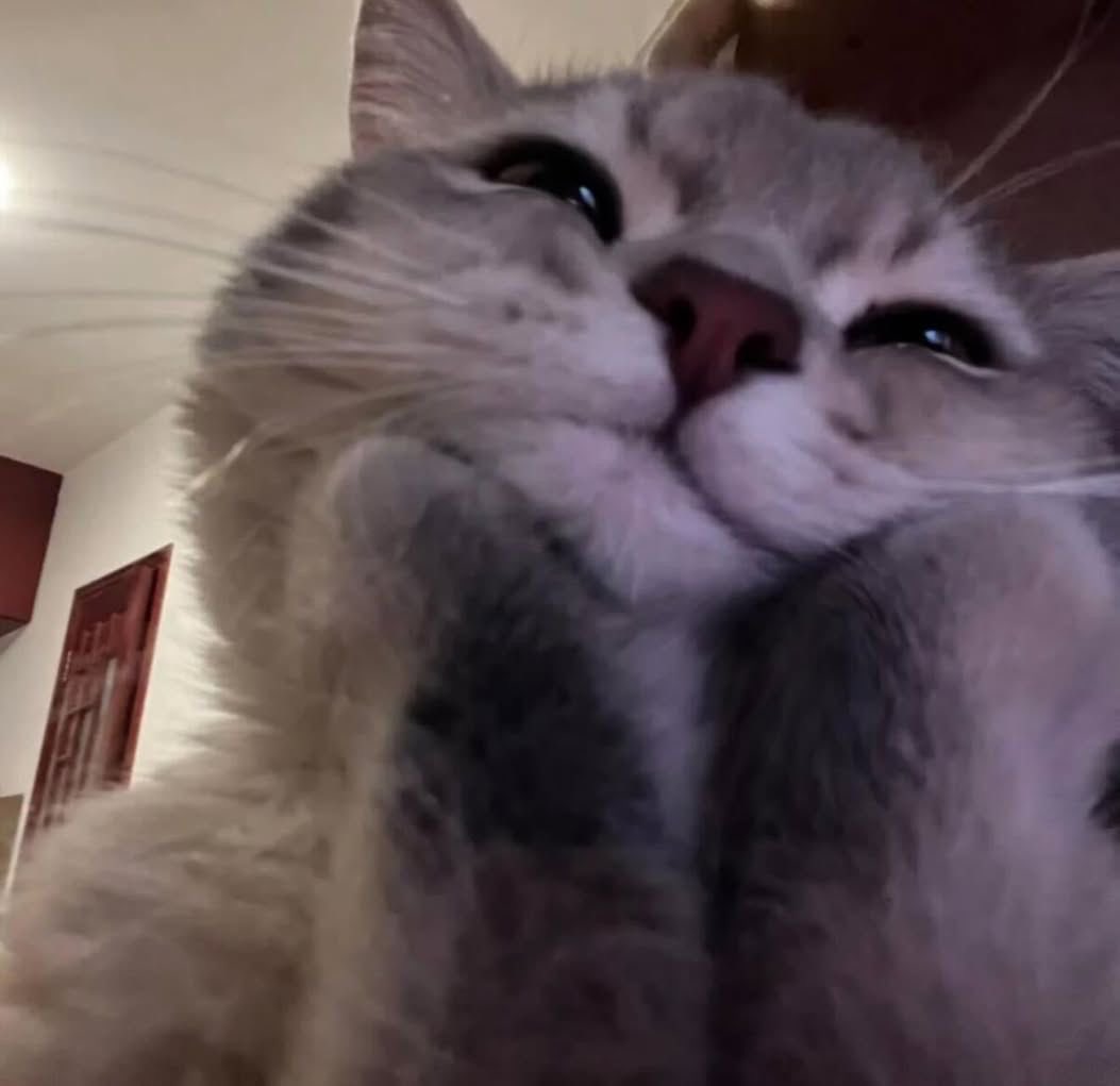 "Fane, ty się uśmiechasz - rzuciłam zaczepnie, udając niedowierzanie.

- No - szepnął, by zaraz delikatnie objąć mnie ramieniem nieco ciaśniej. "

#blade2MM