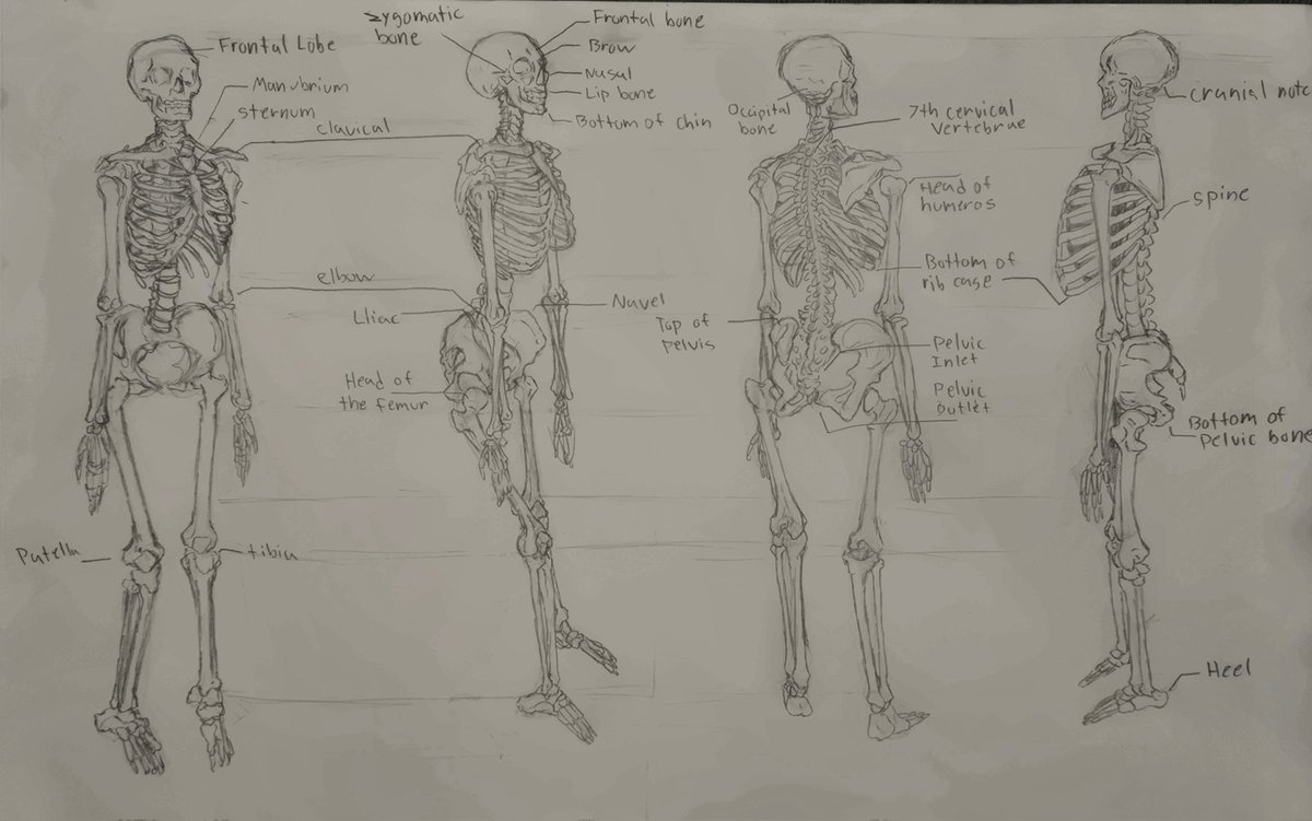 ✧ZenDis🔶️ tweet media