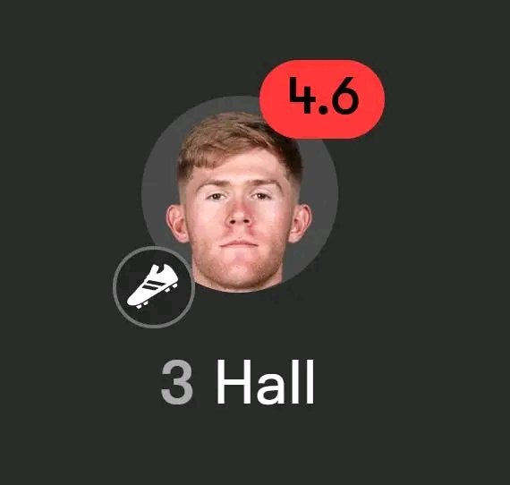 SON OF THE GODS tweet media