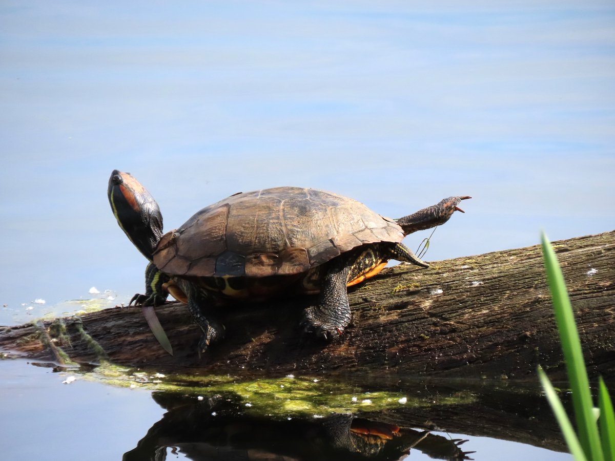 Helen Wheatley tweet media