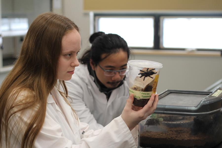 Craig Terlson tweet media