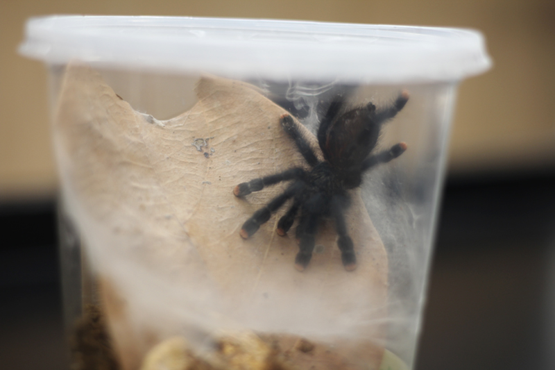 Craig Terlson tweet media